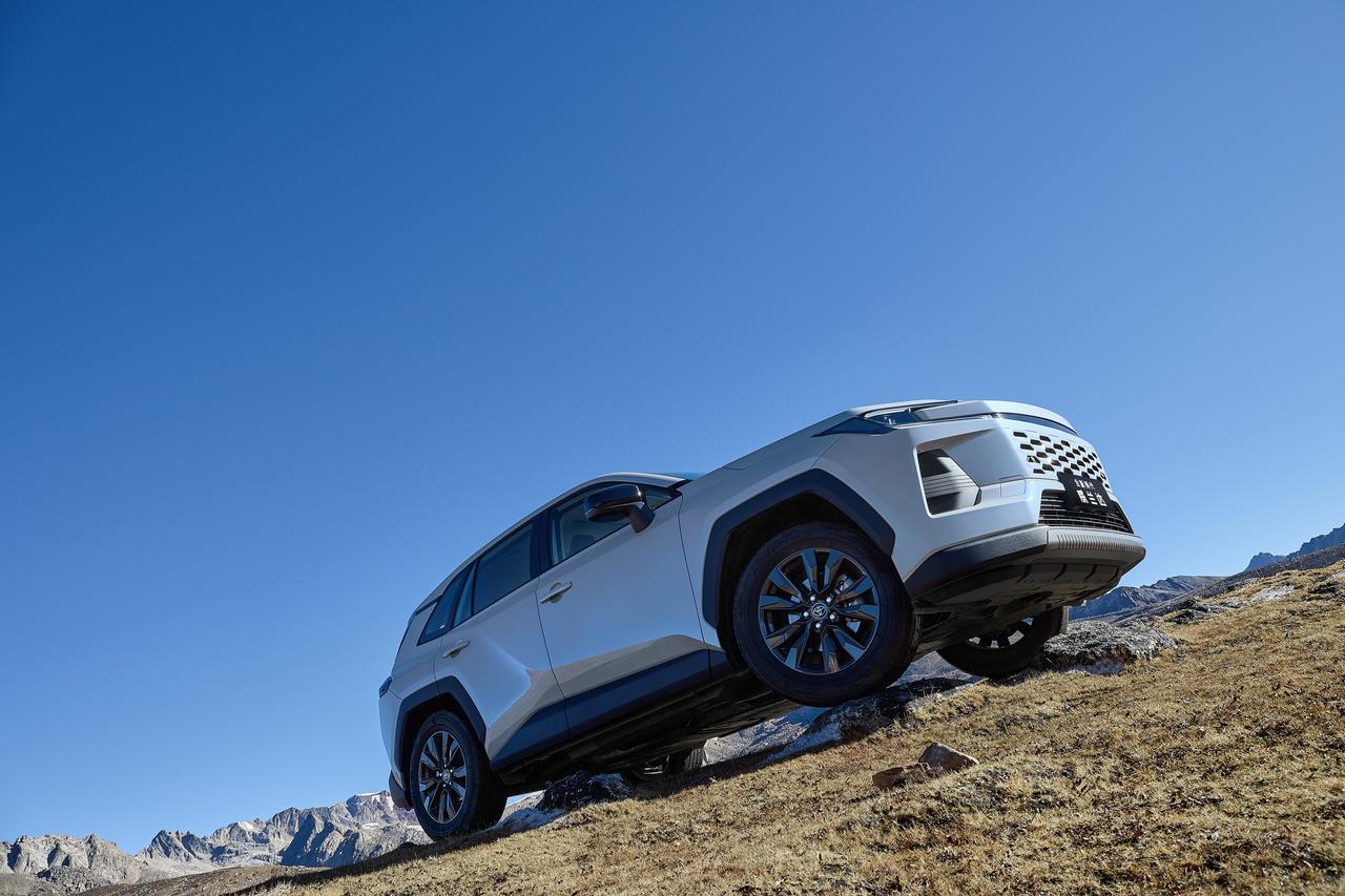 太现实了！这就是目前中国家庭买车的现状！
6％家庭，选50万元以上的车。
12％