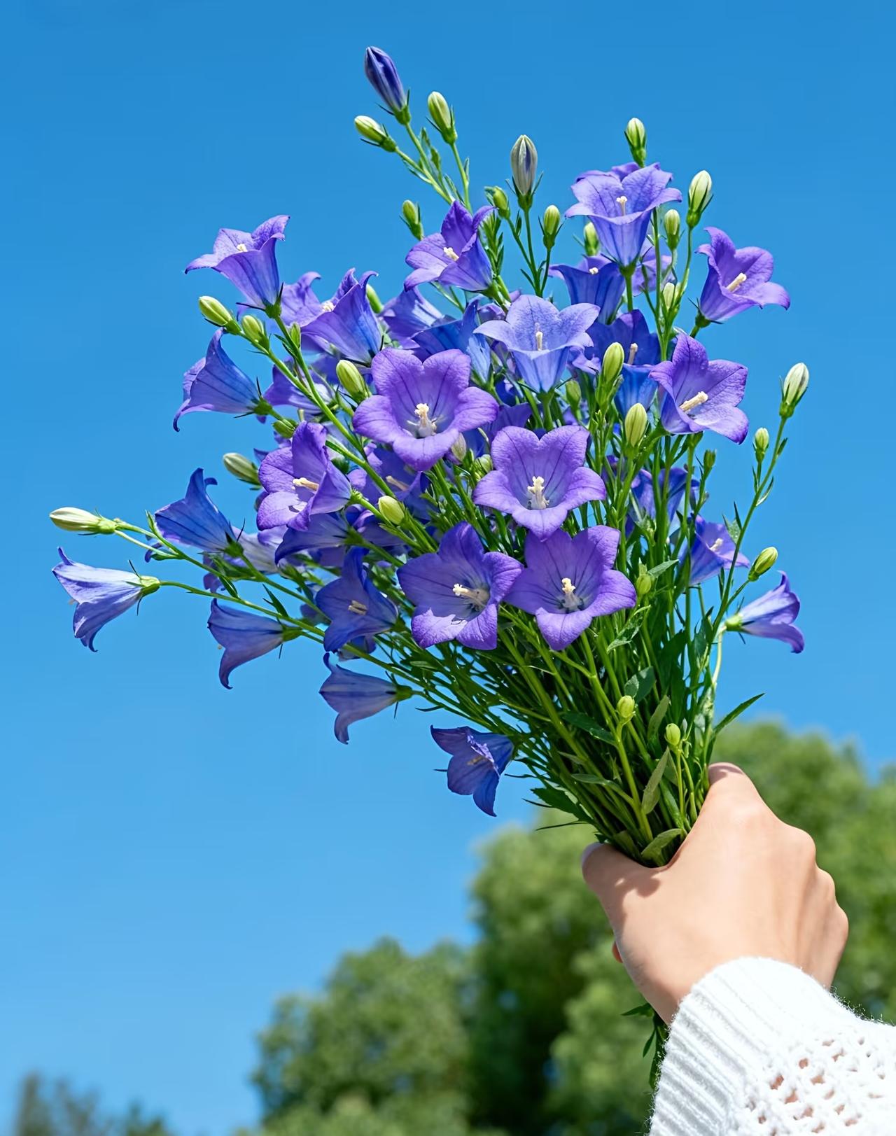 谁能想到？前几天体检，被医生说“更年期早开始了”，可我才40岁啊
 
之前我跟多