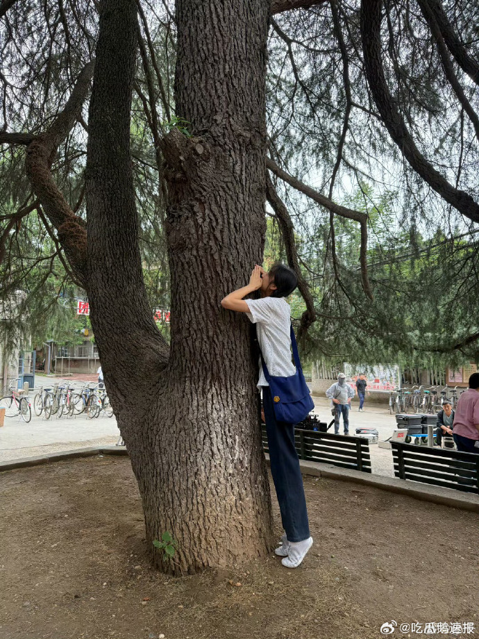 孙千喜欢拥抱孙千费霓别紧张我在孙千的cp玄学又显灵了孙千喜欢拥抱带来的亲密联结，