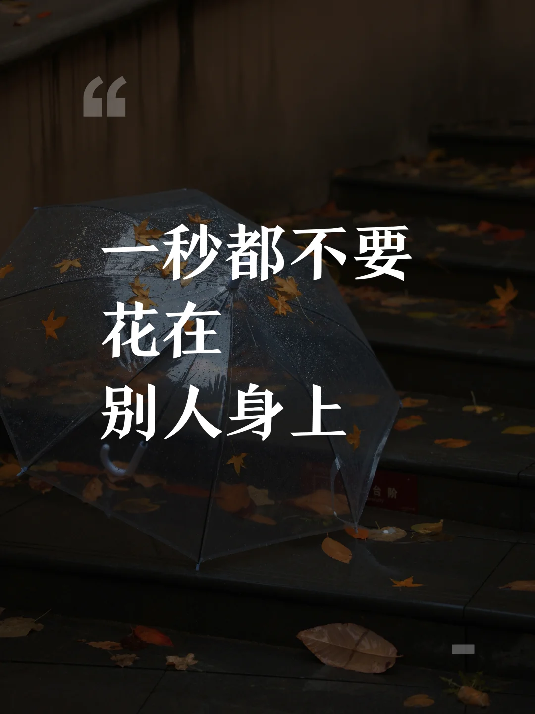 管好自己，莫渡他人，然后奇迹就会发生