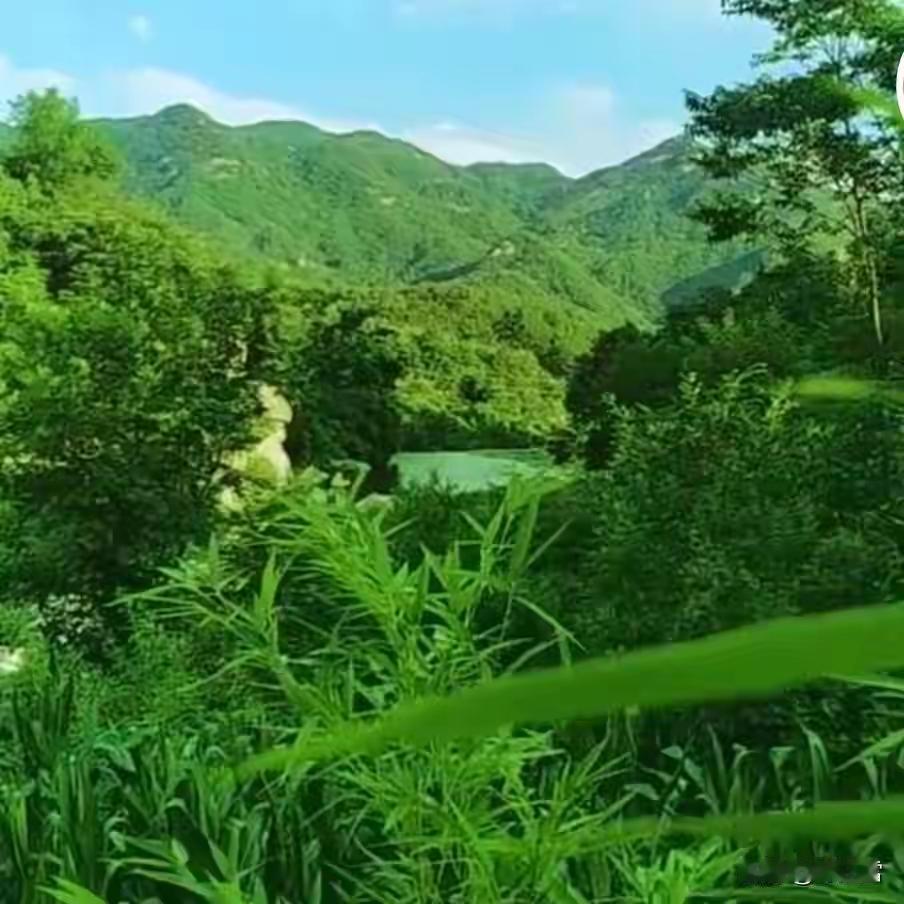 趁着天好出去转转，不必去远方，近处的山、城边的水，都够逛上半天。看银杏渐黄，闻桂