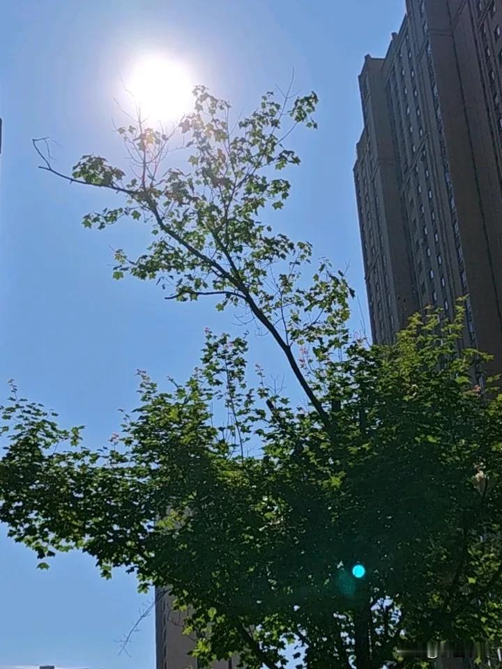 我们总在追赶别人的脚步，
却忘了自己也在被生活推着走。小时候以为长大就能掌控一切