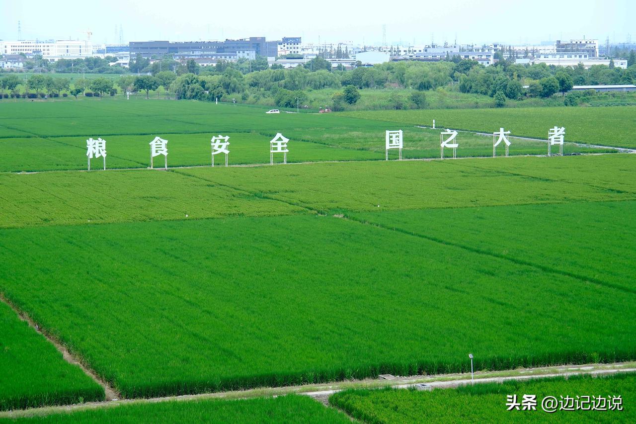 岁月催人老，
苹果都成年了。