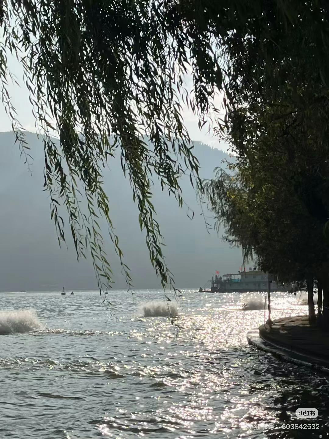 五一年轻人都要去哪儿五一出游三大新趋势五一年轻人去哪玩呢？我打算回老家，在家里呆