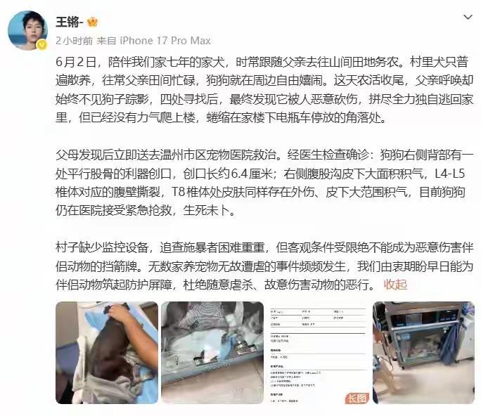 农村的狗确实普遍散养，一般都是看家护院的土狗为主，但正常也很多是拴、或关在院子里