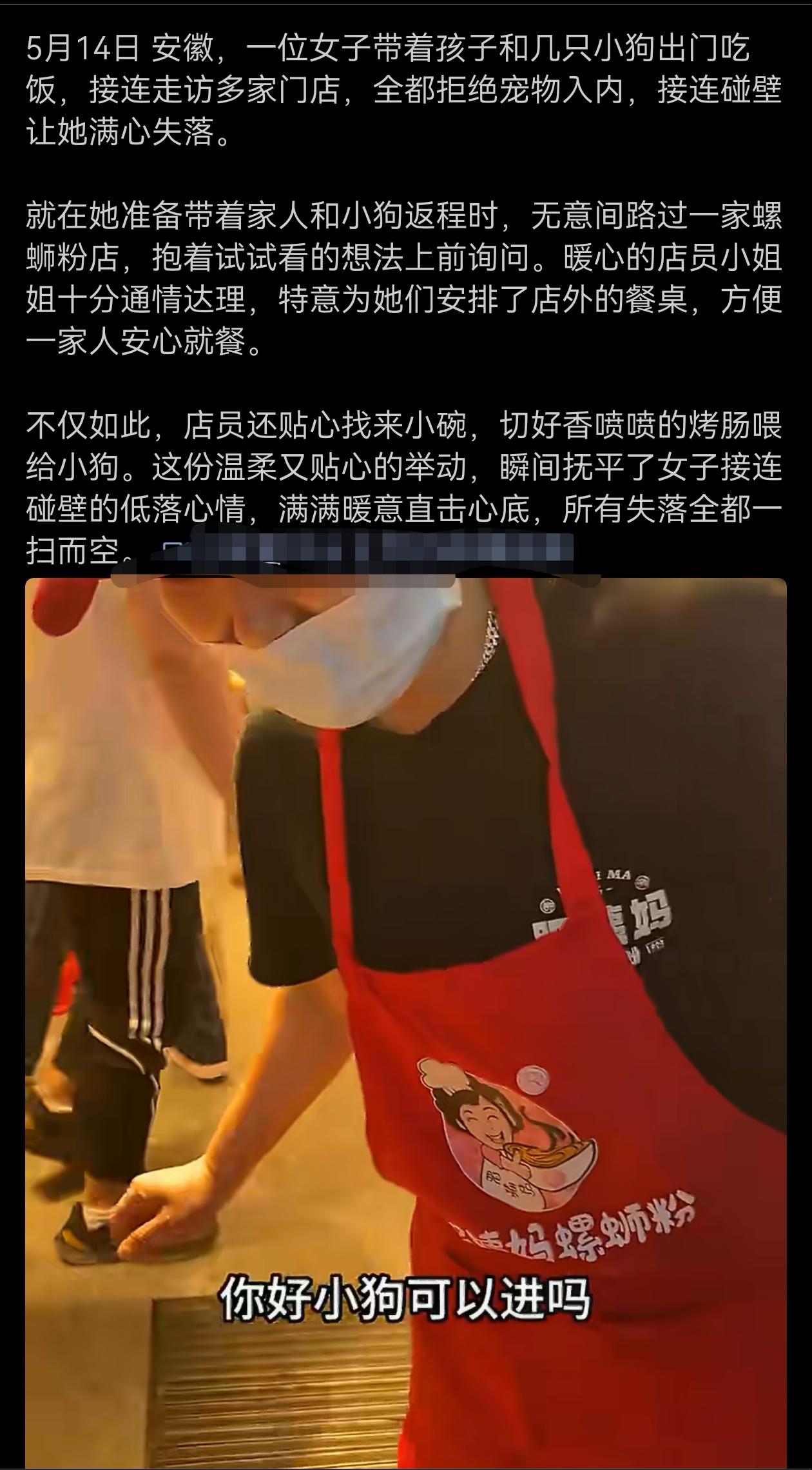 一女子带着孩子和几只小狗出门吃饭，接连走访多家门店，全都拒绝宠物入内，接连碰壁让
