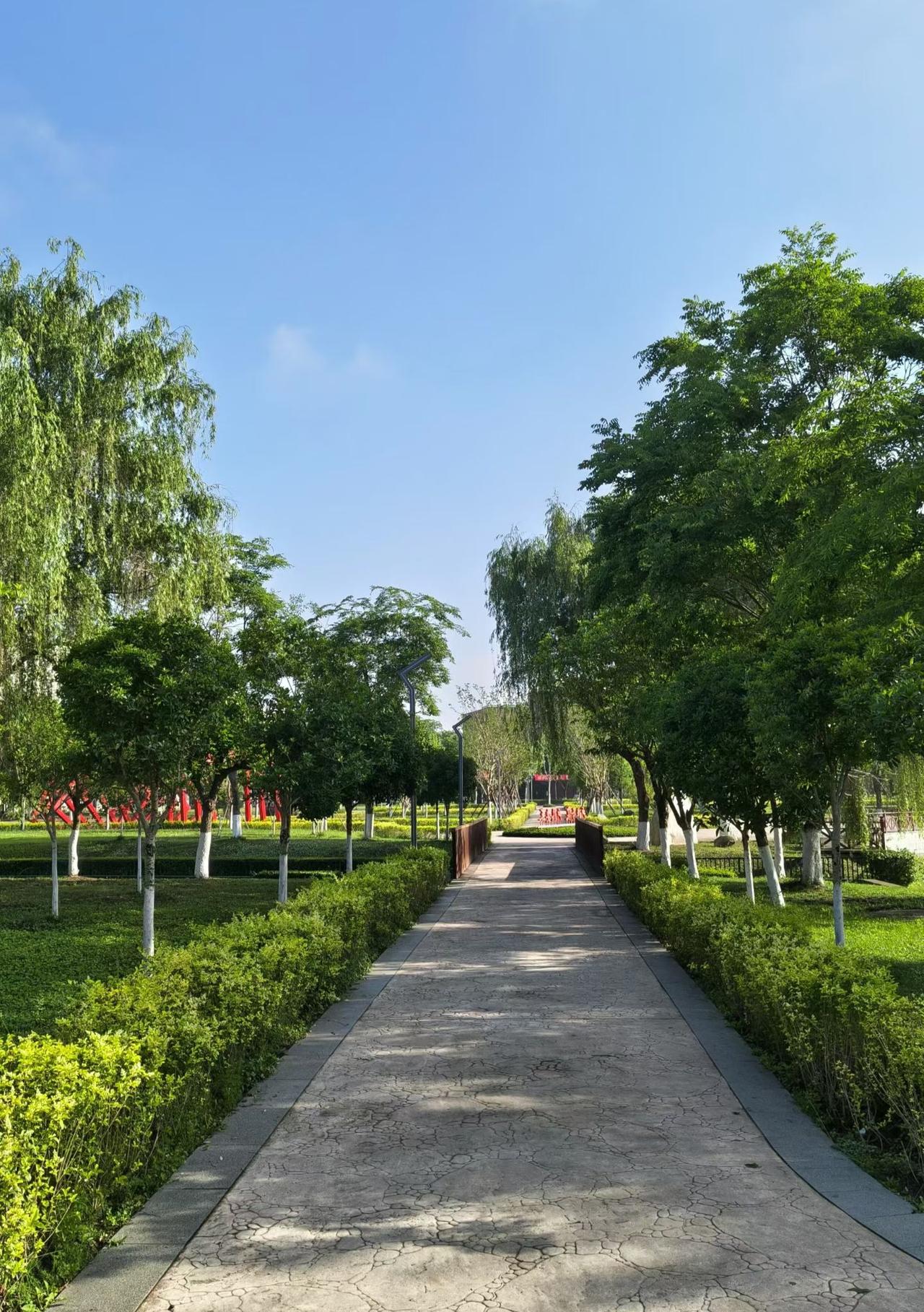 晒出今天随手拍的美图