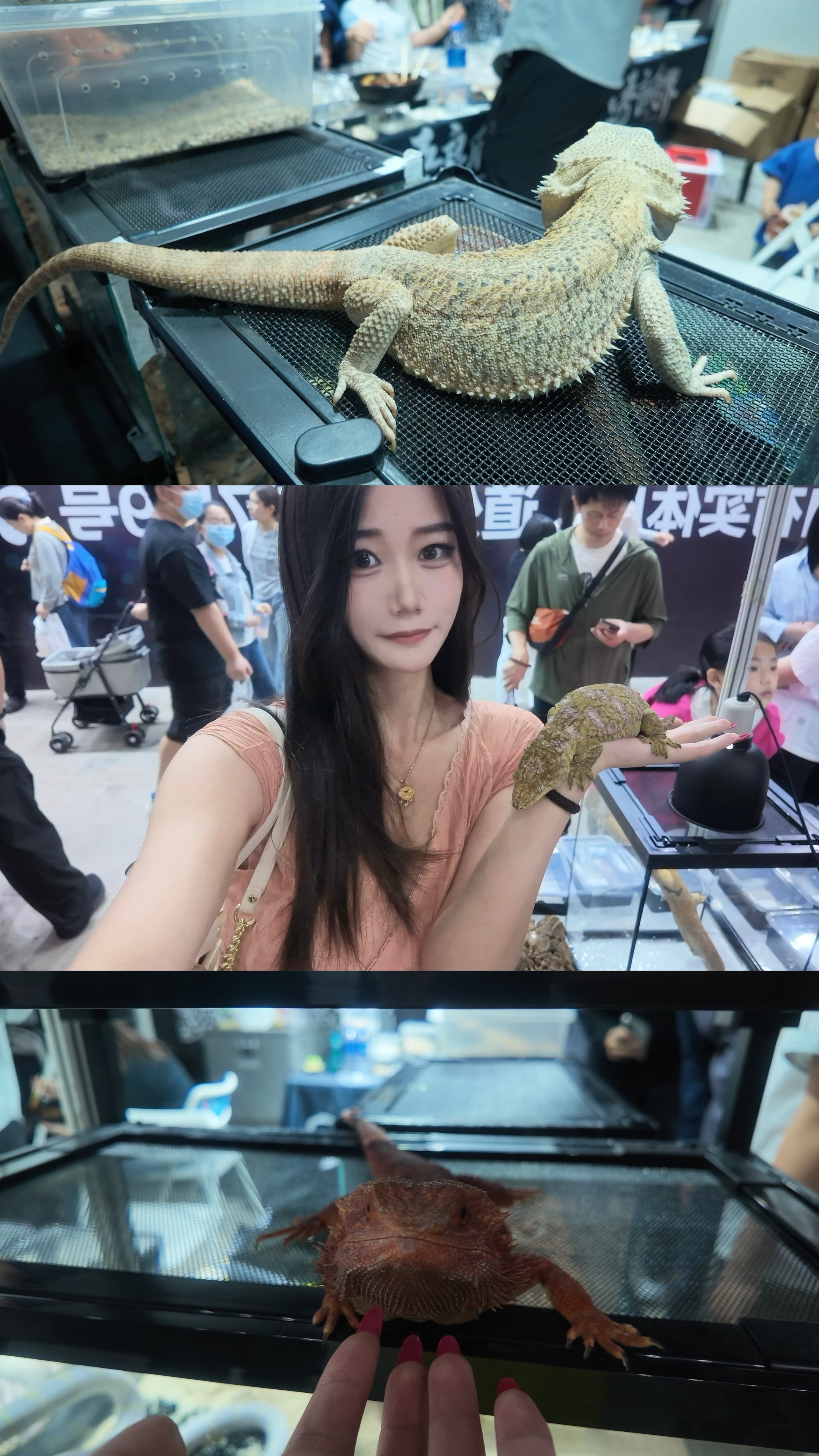 胆子大的小动物 哈尔滨·哈尔滨工业大学