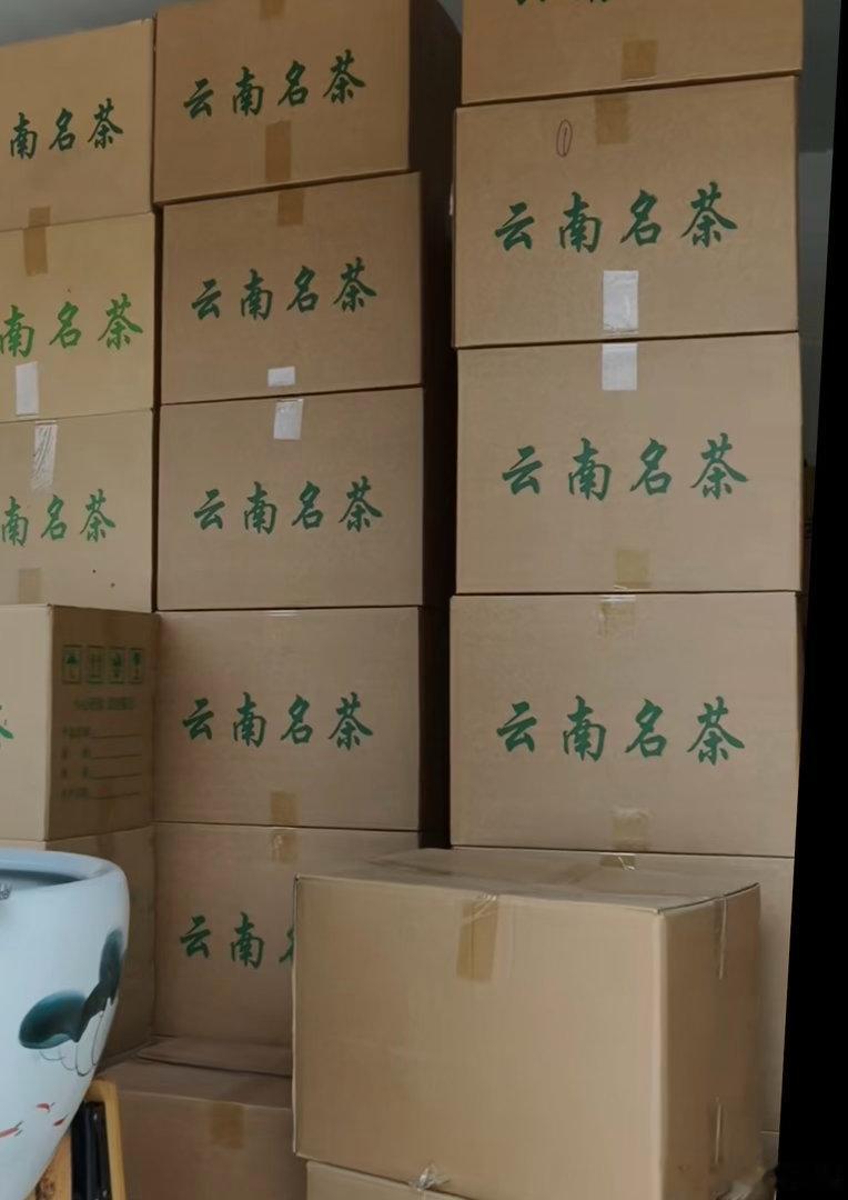 冰岛 地界 头春 古树，茶农今年的茶卖不完，积压的茶太多，价格已经开始降了，头春