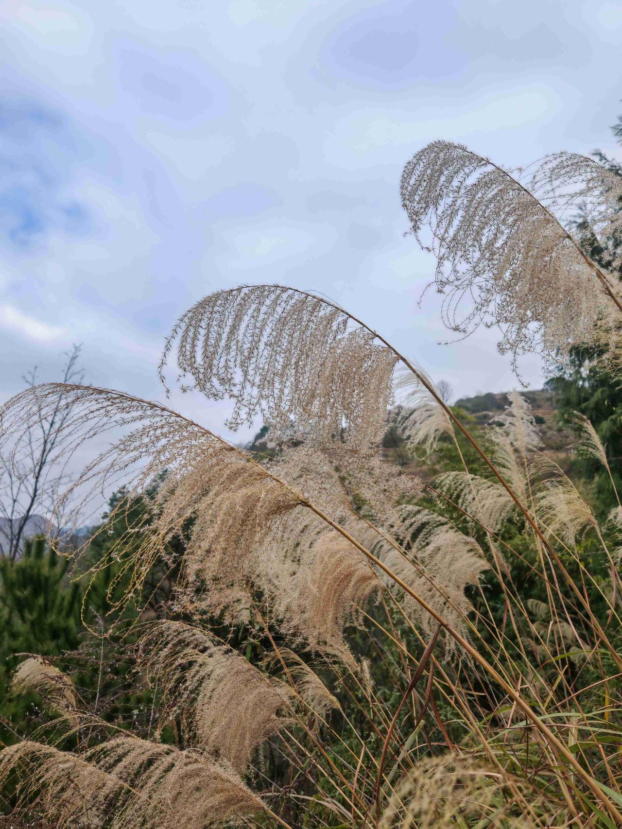 我的今日状态：😁轻松愉快
我这里的天气：🌤️多云