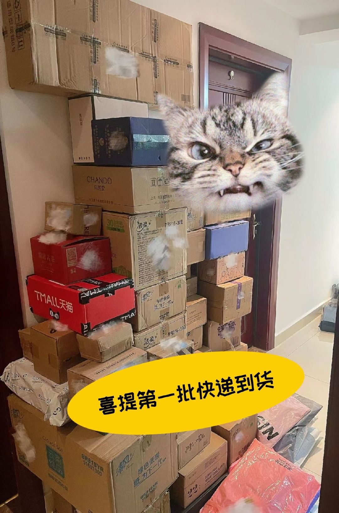 【#大学生拉推车喜提天猫首波快递#】双11购物热潮再度掀起，不少大学生已经清空购
