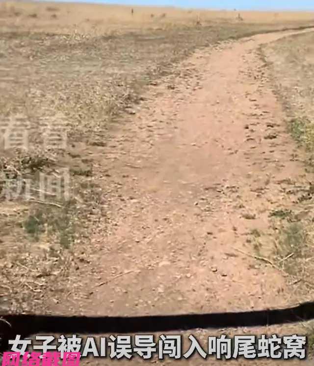 某个女子在美国期间，利用AI问询周边适合游玩的地方，结果出乎意料被AI引领到一处