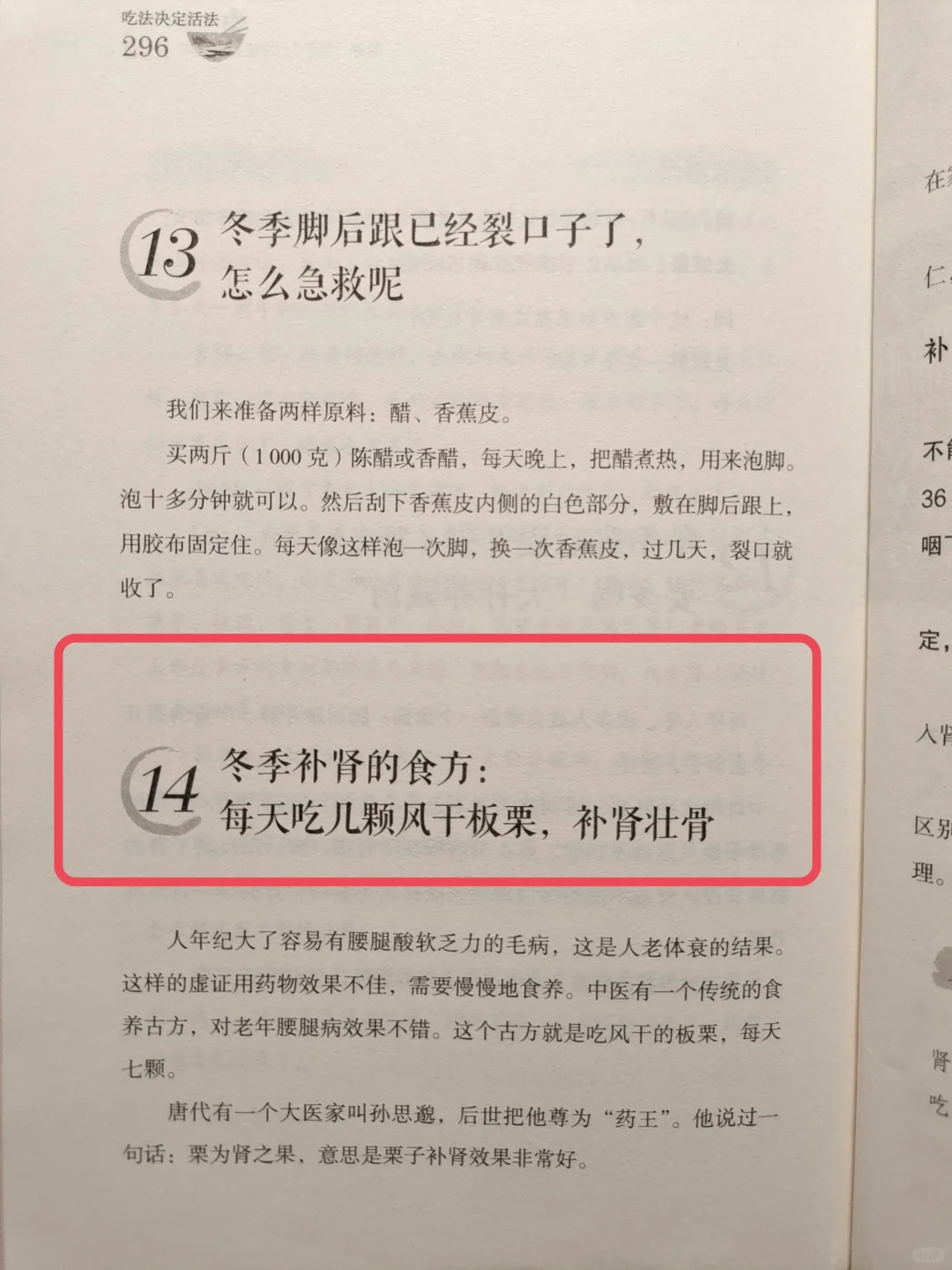 陈允斌老师——吃板栗，养肾，不得不服🔥