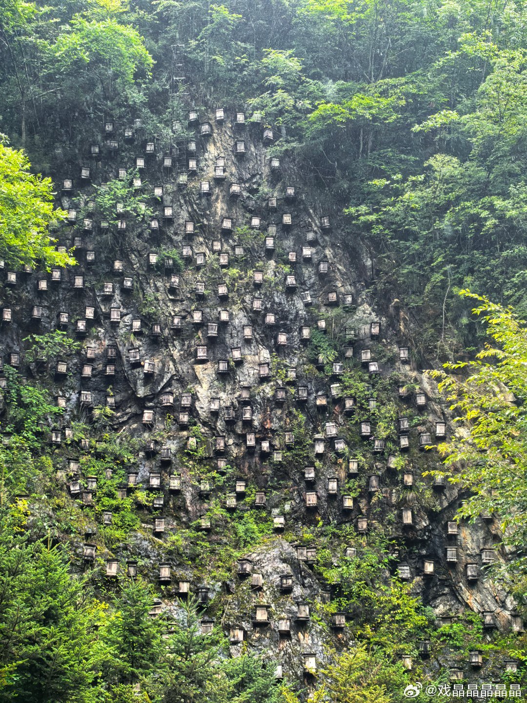 这是官门山很出名的一个景点—网红悬崖蜂箱，很多人慕名前来打卡。 ​​​