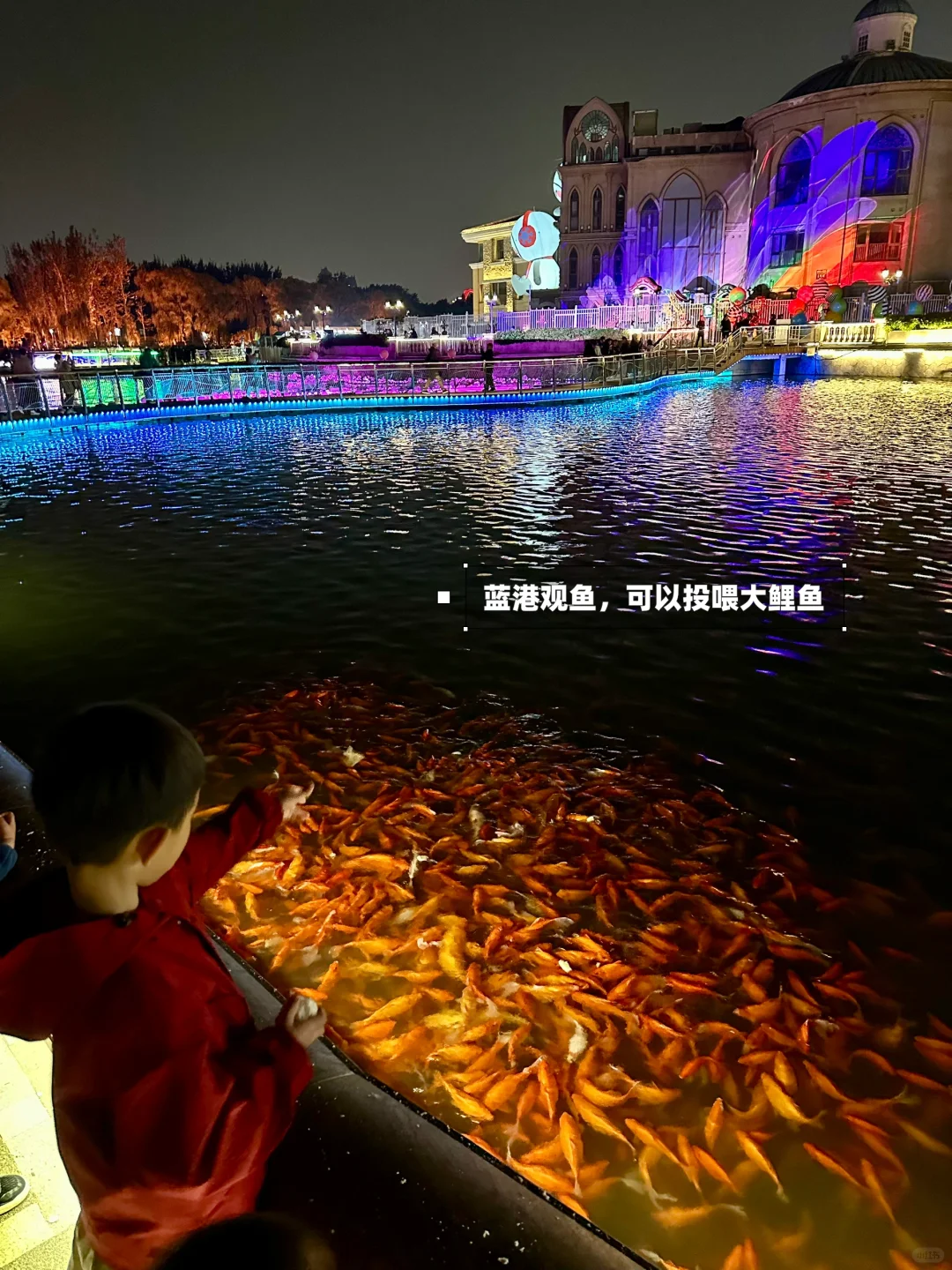 免费‼️超梦幻‼️朝阳灯光节🌟路线➕时间表✔️