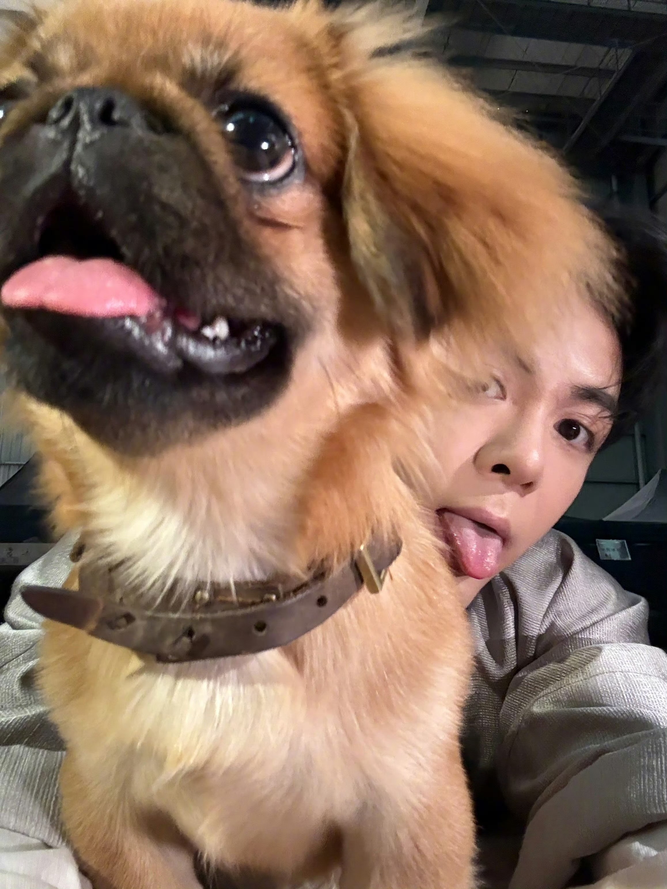 曾舜晞dogday曾舜晞撸狗日曾舜晞撸狗日，好幸福，[太开心][太开心] ​​​