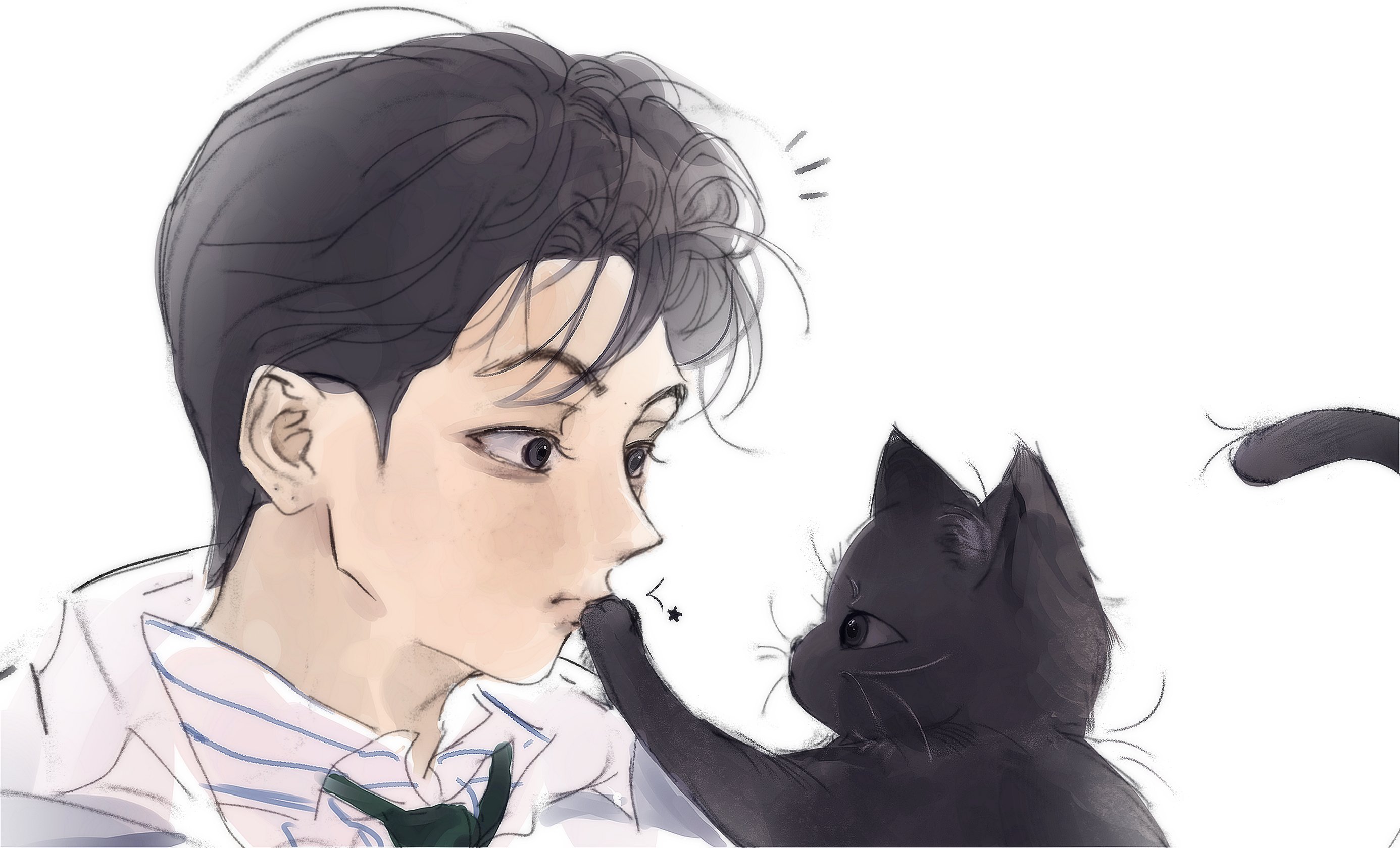 【🐈⬛】帅猫就这样激发出各国电器的创作欲😋©️Jjongsaeng22/jj