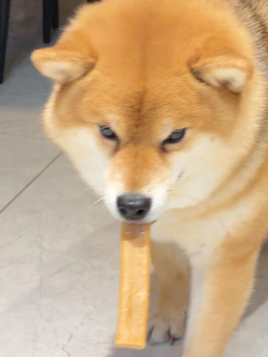 人 我是一个大西几！