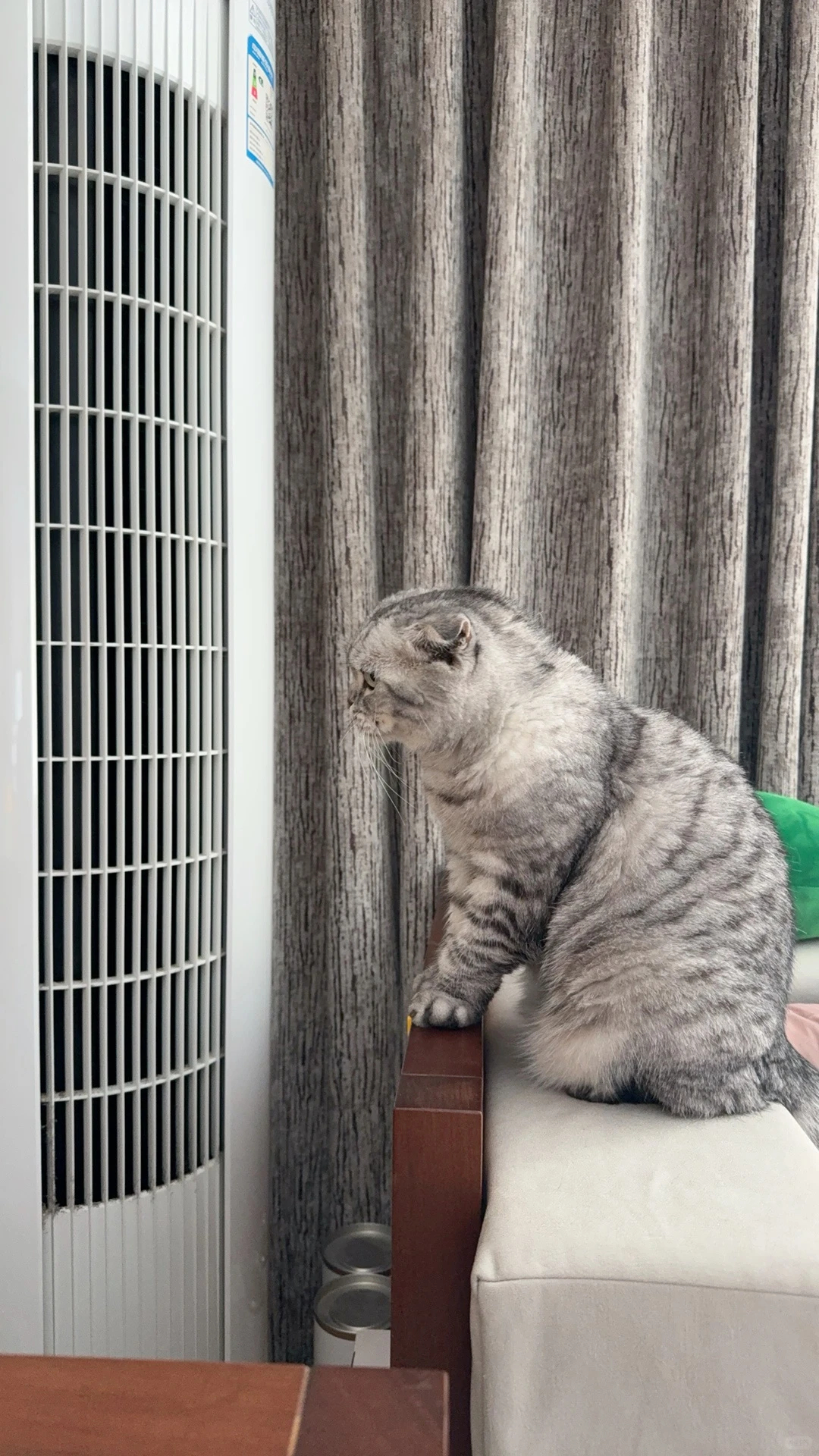 数码闲聊站养宠家庭需要哪些空调功能 养宠家庭选空调，56℃高温自清洁是刚需。宠物