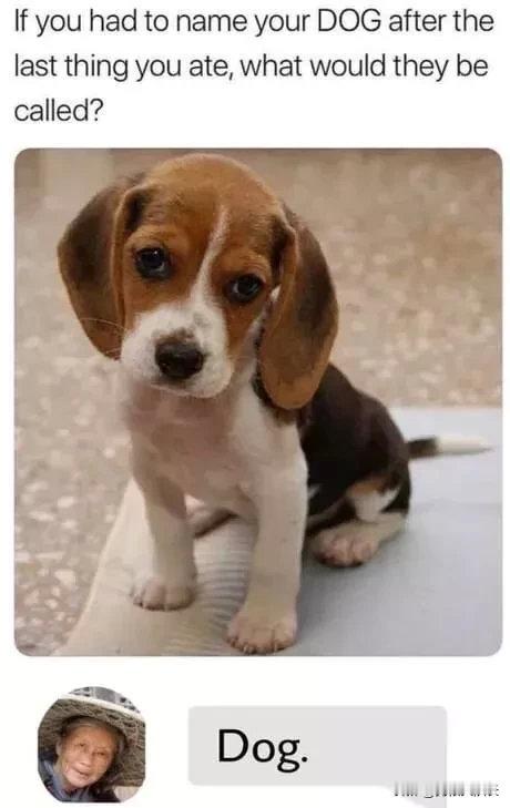 “如果狗狗的名字是你吃的最后一样食物，那你家狗会叫什么？”“Dog”看懂的来评论