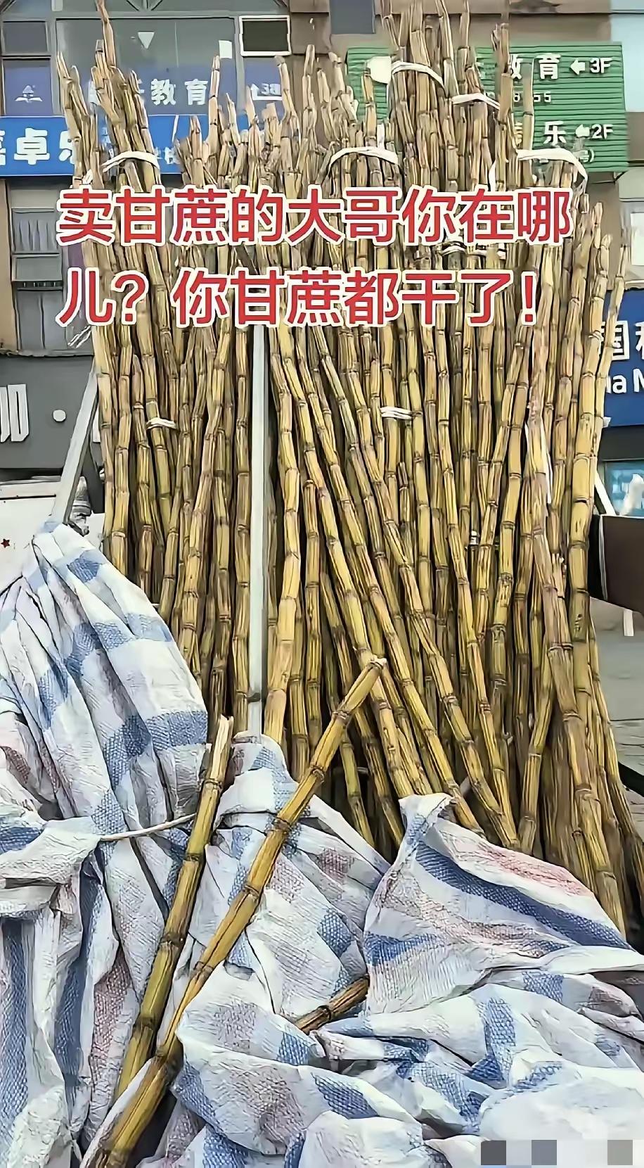 太暖心了，四川，一男子发现，楼下常年摆摊卖甘蔗的大哥从过年之后就没出摊了，路边三