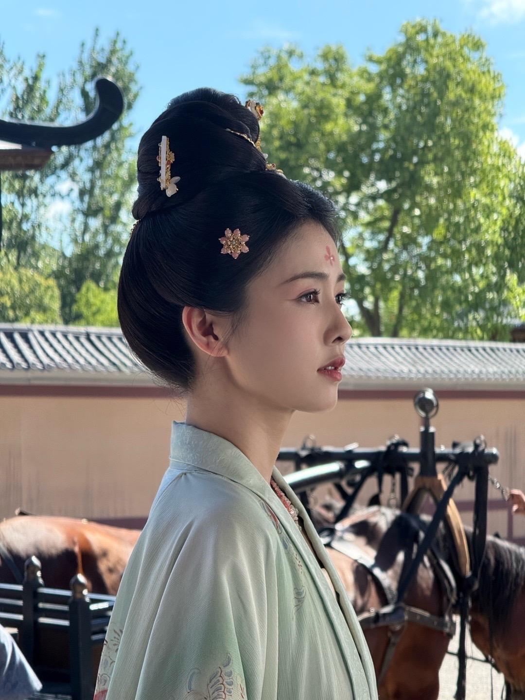 白鹿古装剧  来看好剧