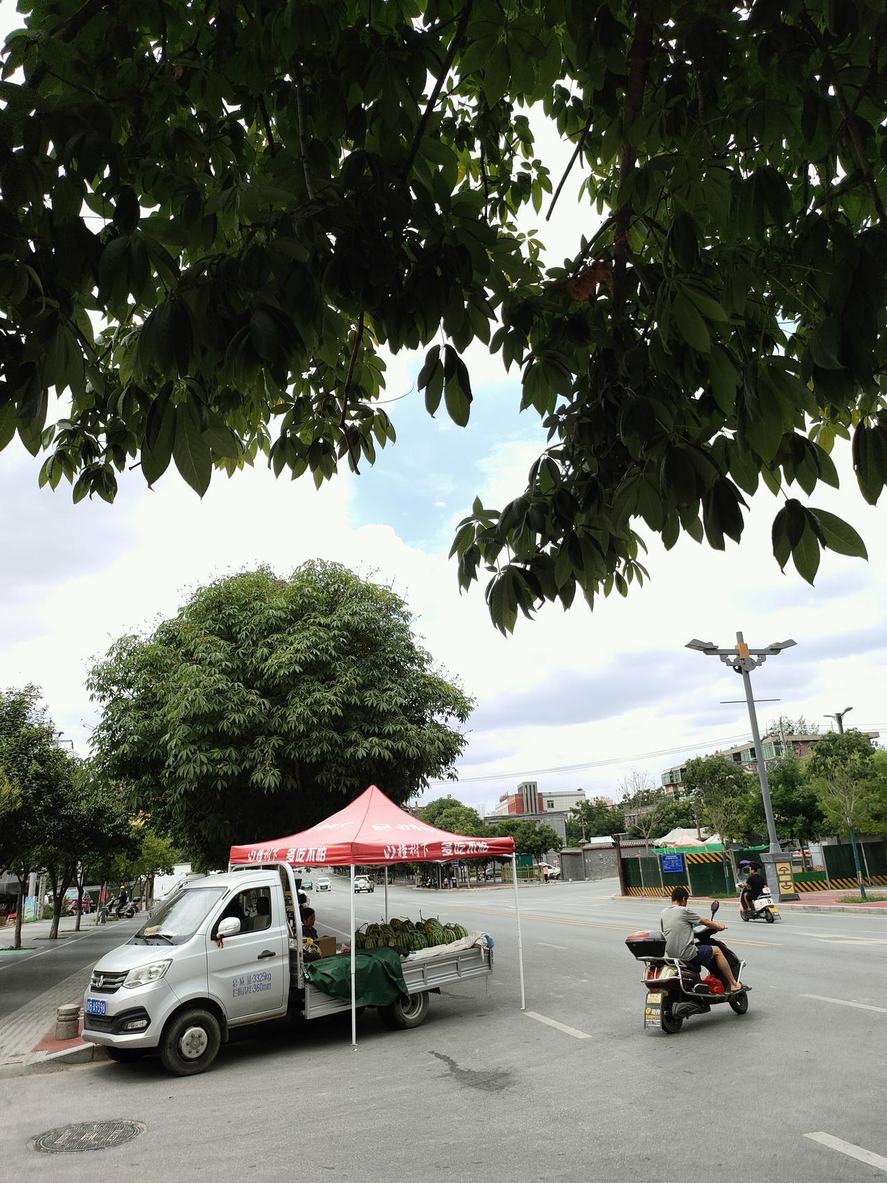 ​
2. 街角寻常光景，藏着平淡安稳的日常
​
3. 树荫遮暑气，风与云安抚燥热