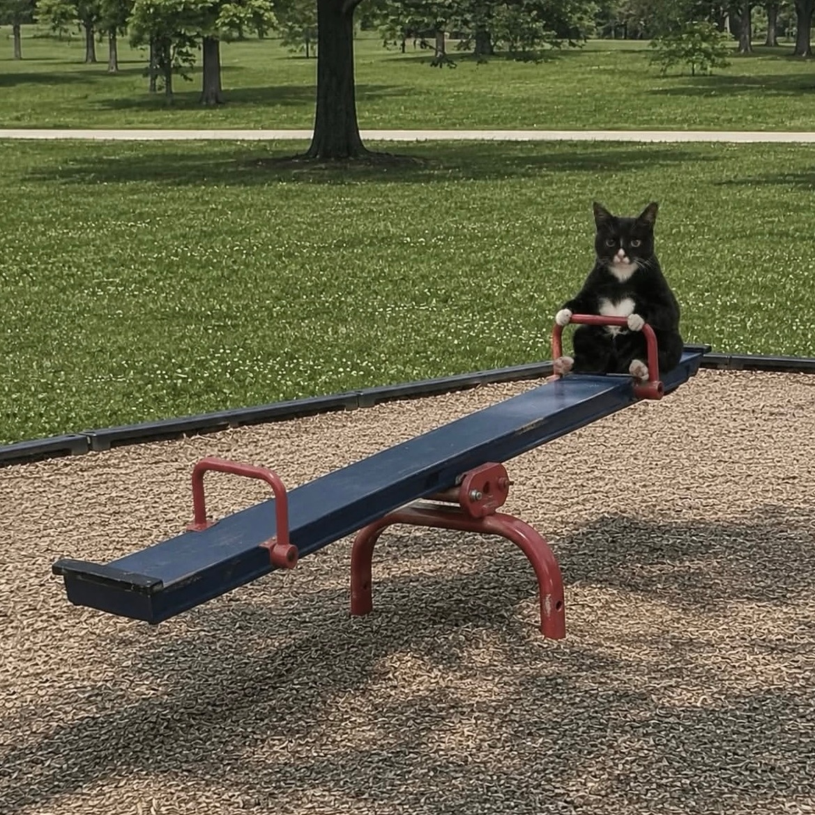 🐈⬛🚀🛝🔨🍃🎠♥☜ 