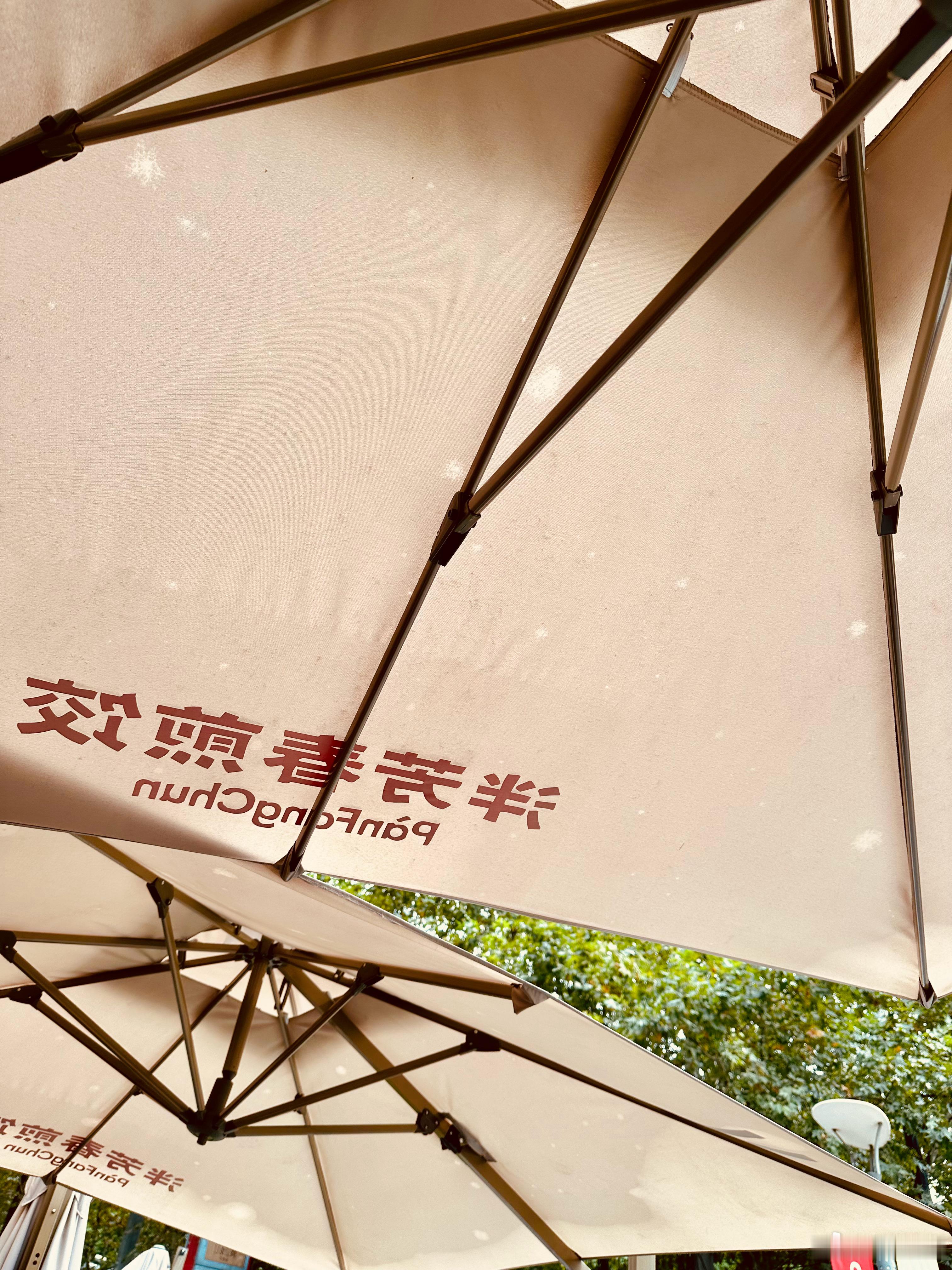 下雨的时候，透过雨幕玻璃，路口对面这棵树像缀了小电珠的圣诞树。架空线在阴天里有种