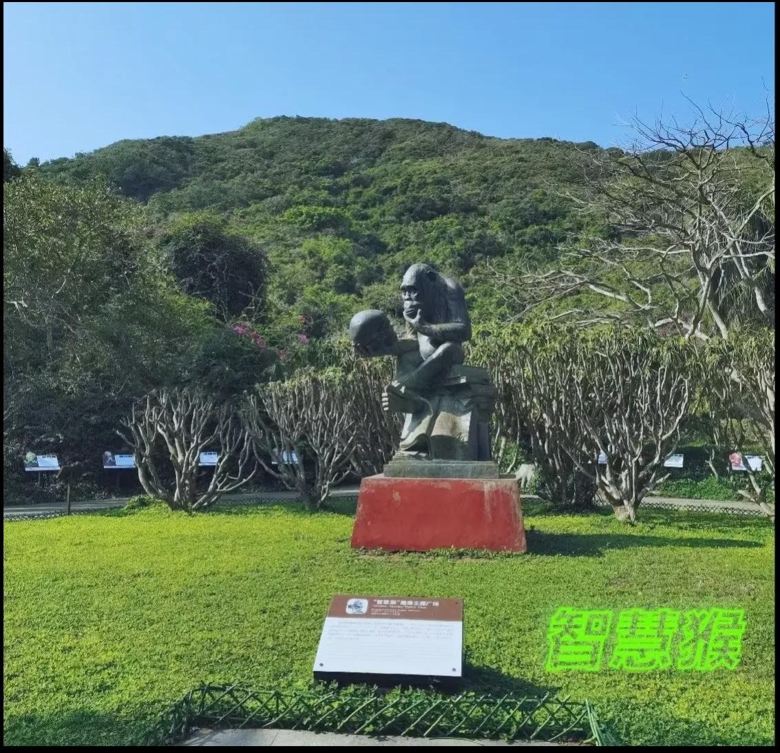 关于：心智
你能挣到心智之外的钱吗？你能掌控心智之外的运吗？结论：人与人的区别关