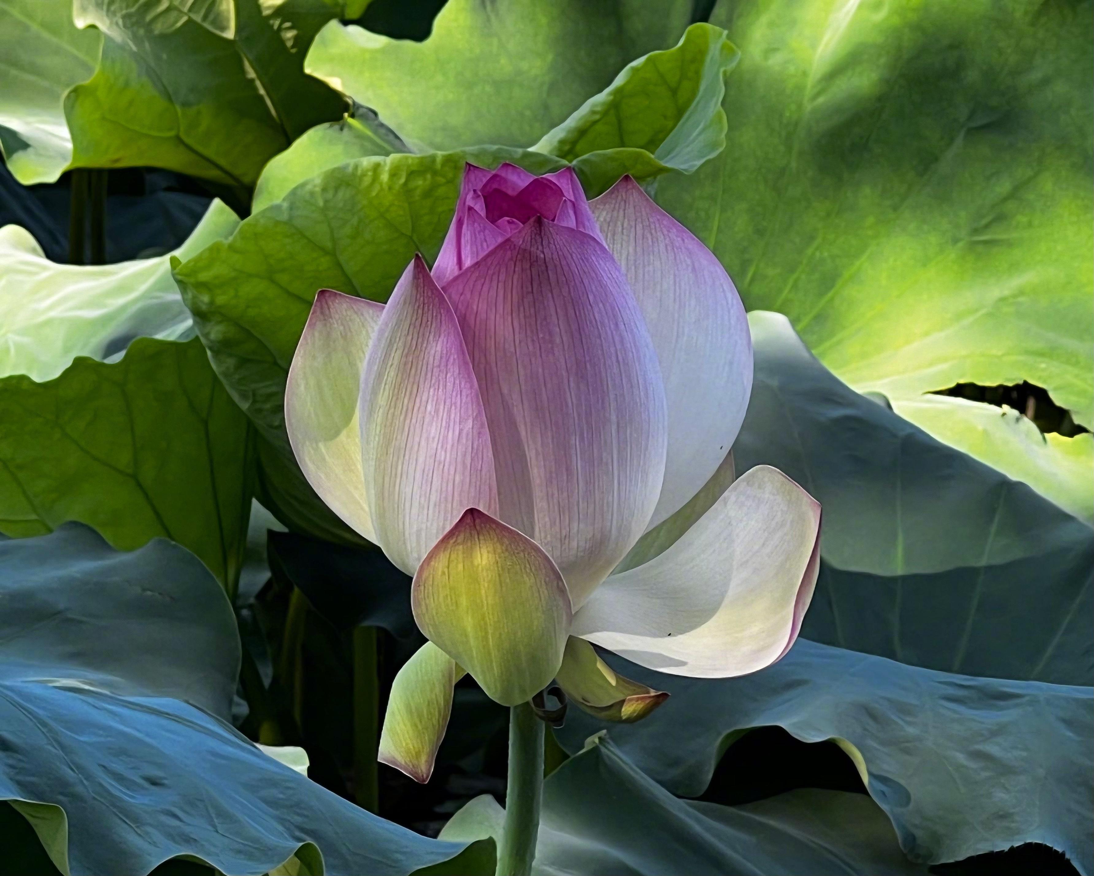 千万不要以为远方的陌生医生会比你眼前的主治医师会高明多少。俗话说，珍惜眼前人，同