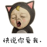 大卷最爱科技