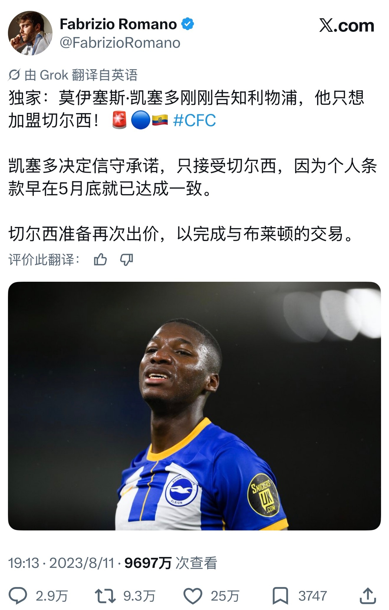 想想当初凯塞多的承诺再看看随后的续约 真的 未来必成蓝军传奇球员 这也是他的梦想