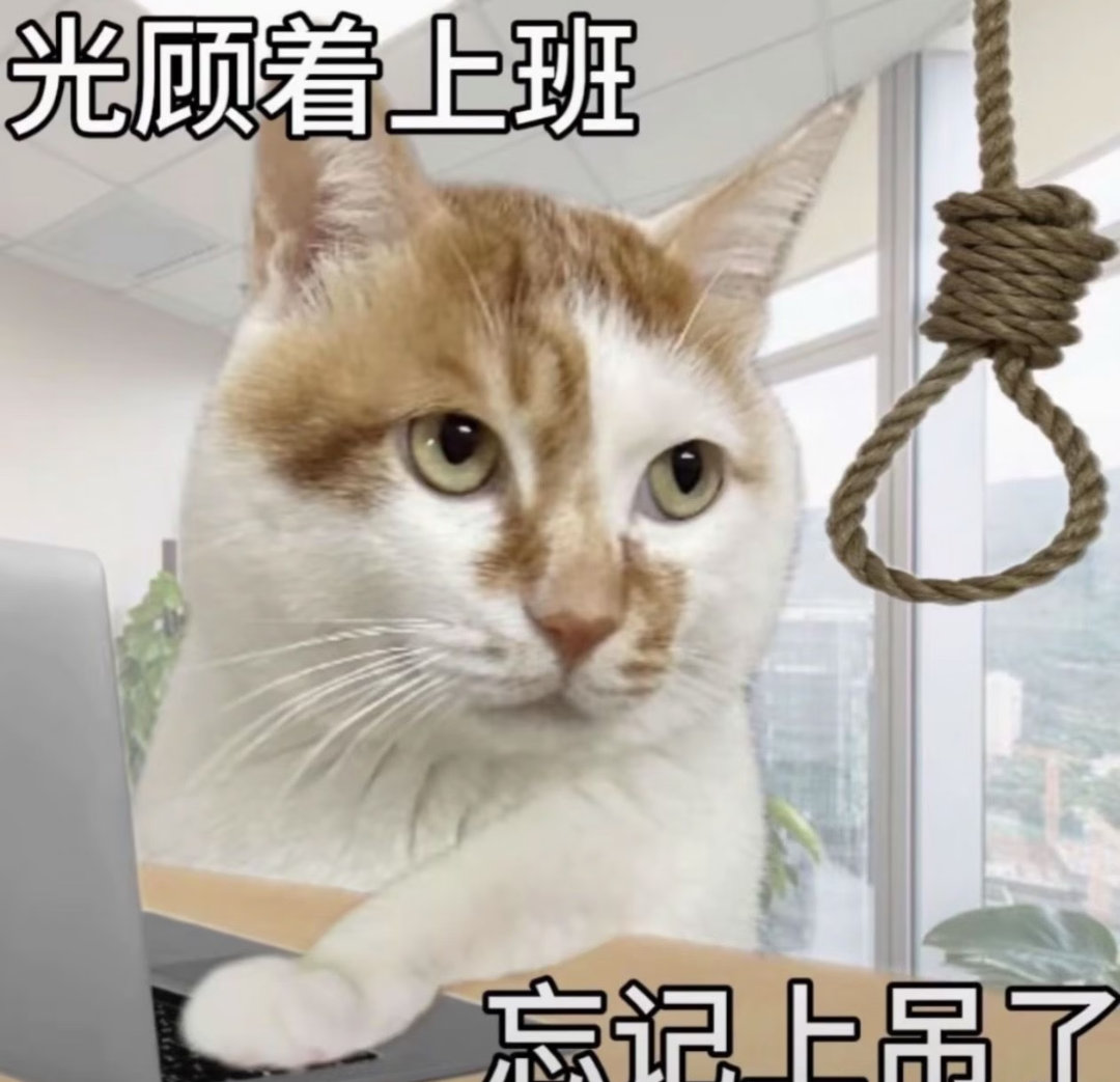 热死了烤熟了想干啥啊 