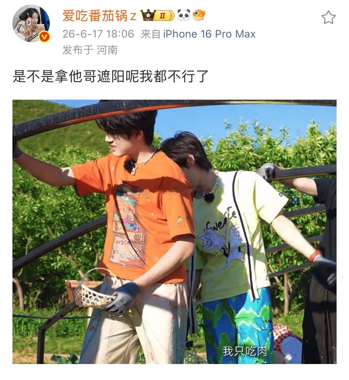 我都笑哭 从这里就开始遮阳了 