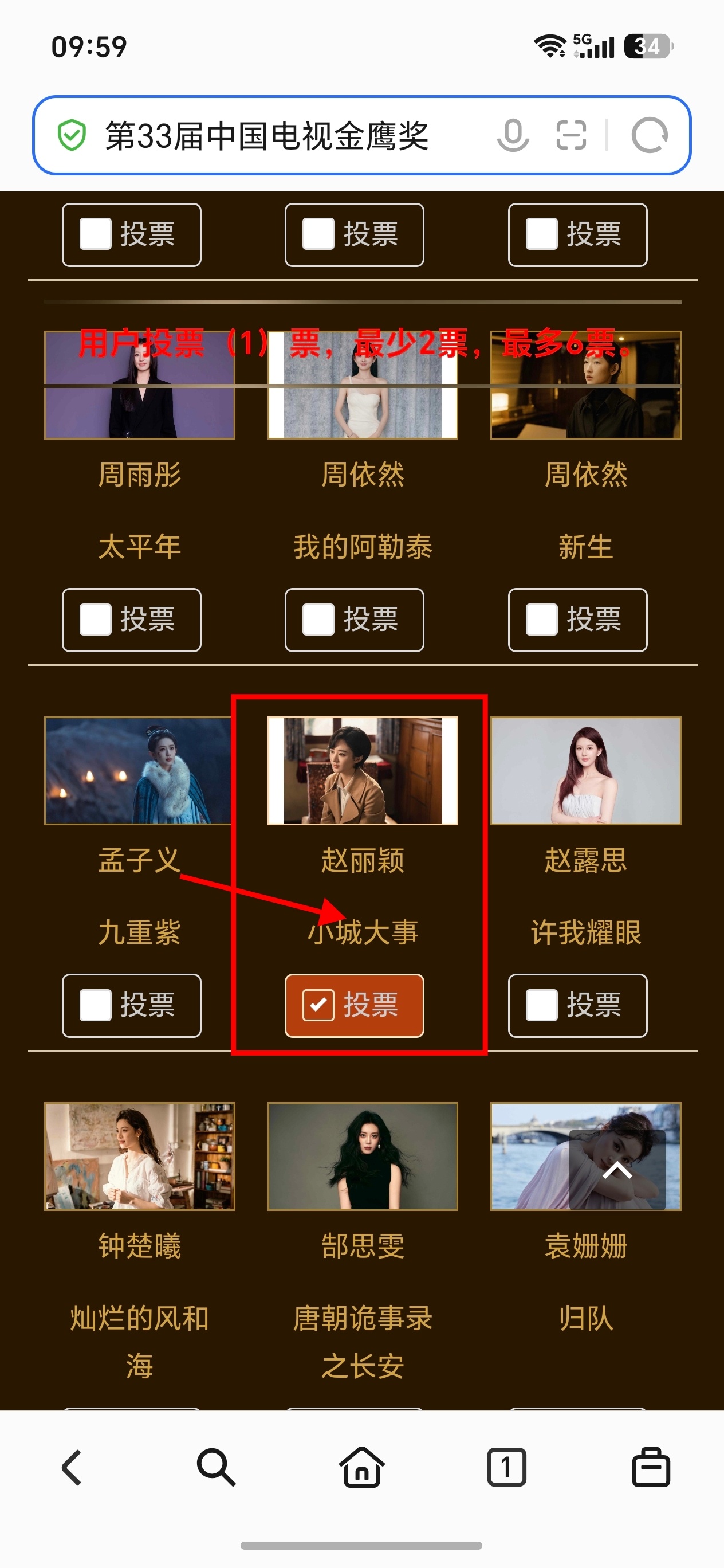 金鹰奖第二轮开启有六天投票时间网页链接电视剧 小城大事（此选项至少投9票才可以提
