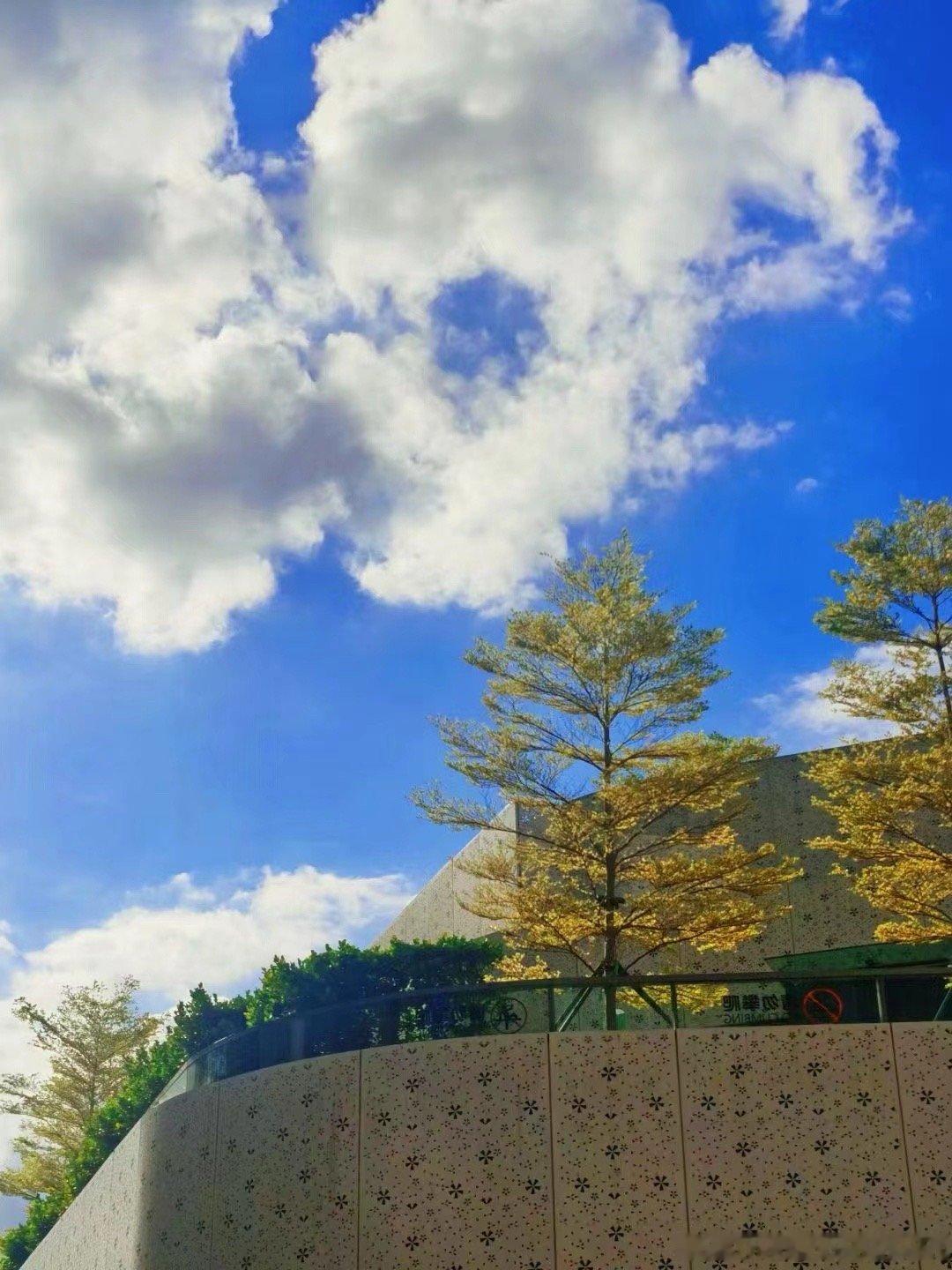 我夸人的时候可能是虚情假意,但我骂人的时候绝对是无比真诚的。 ​ ​​​