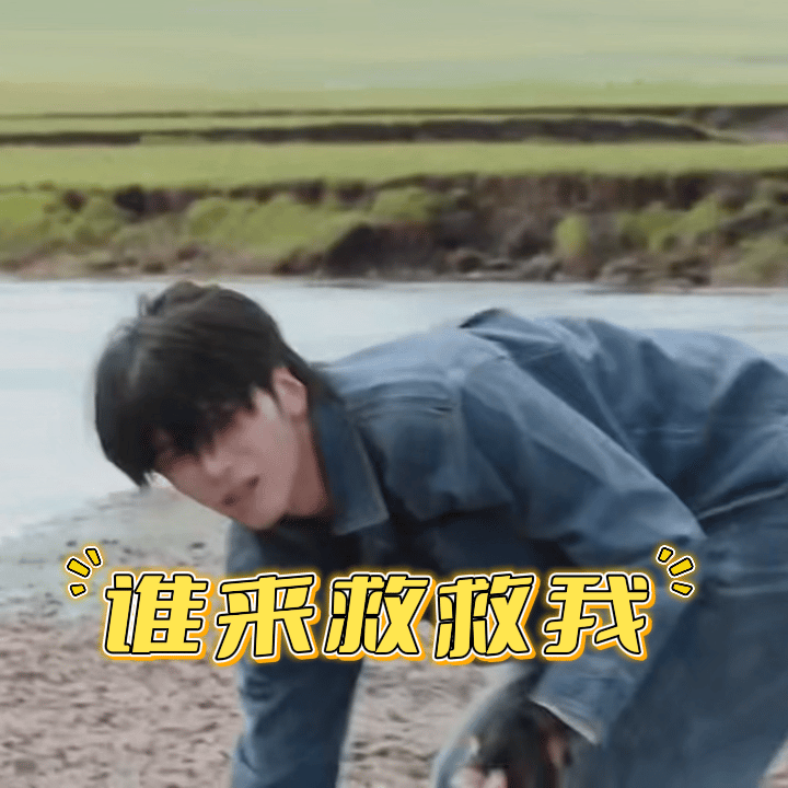 邵子恒面对刘嘉玲张柏芝左右为难 这是什么人间夹心饼干现场！刘嘉玲的催促像上课铃，