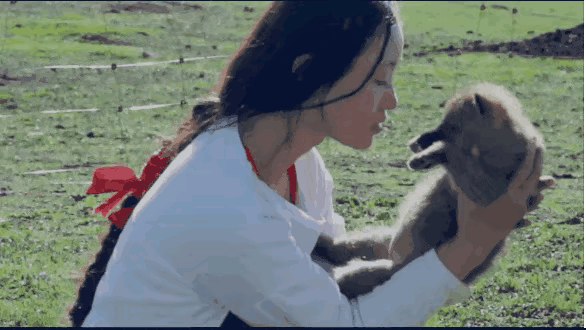 李微漪和亦风注定不能走到最后，只能当朋友，不能当伴侣，在草原上遭遇盗猎者，面对着