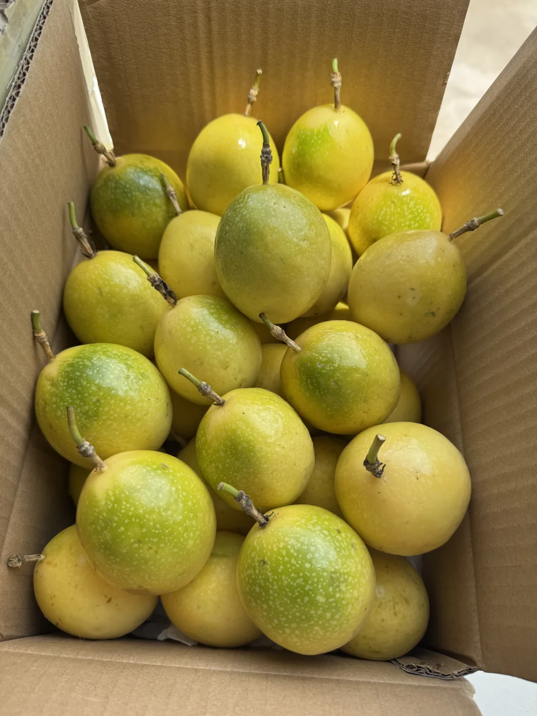 个位数一箱蜜甜黄金百香果，羊毛福利500箱！