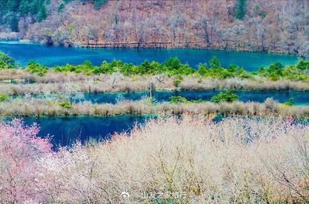 【九寨】神奇的九寨—树正群海之春.树正群海由二、三十个大小海子呈梯田状群集而成，