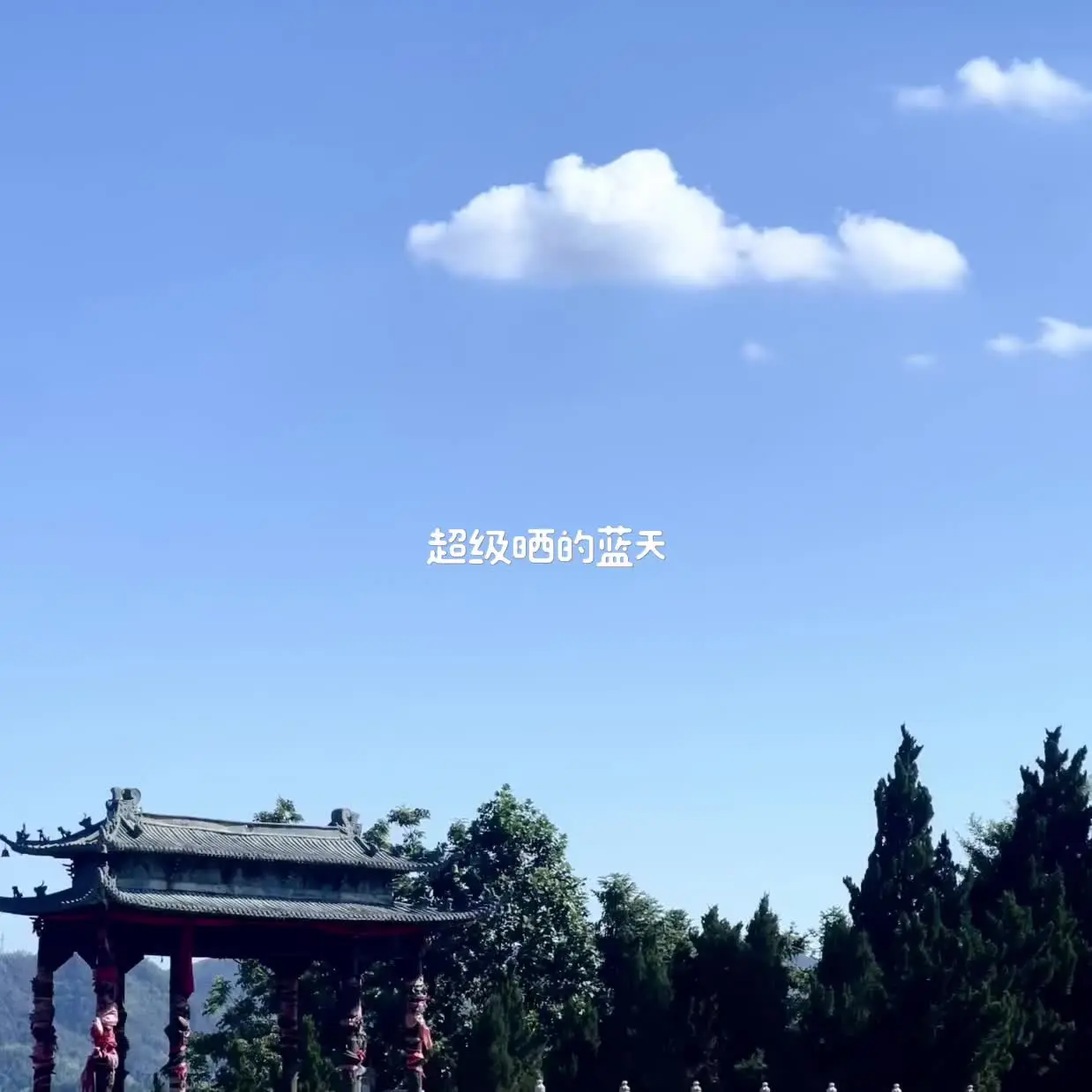 夏日随拍☁️