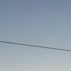 曾沛慈 阳光信用 每日一善 迎着太阳，奔向远方，心若向阳，四处是光芒。我喜欢向阳