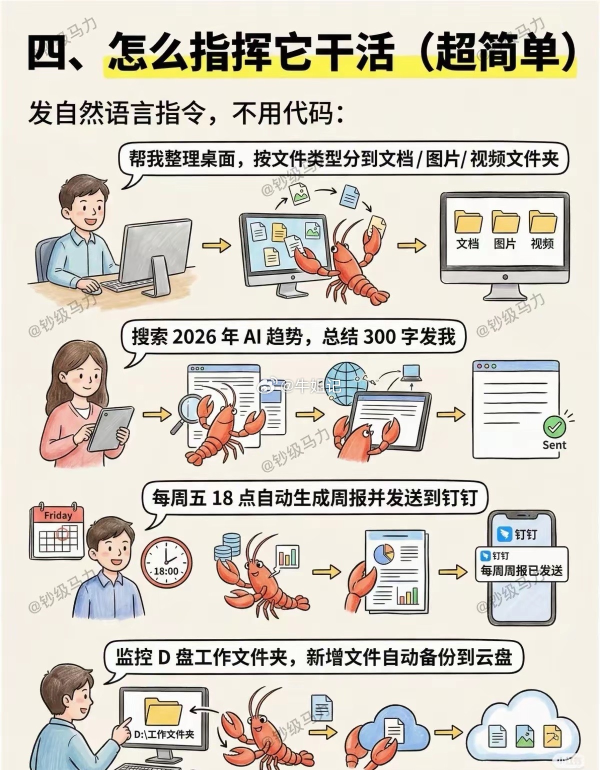 养龙虾，到底是啥？可以为我做什么？有性价比吗？有图有真相！ 
