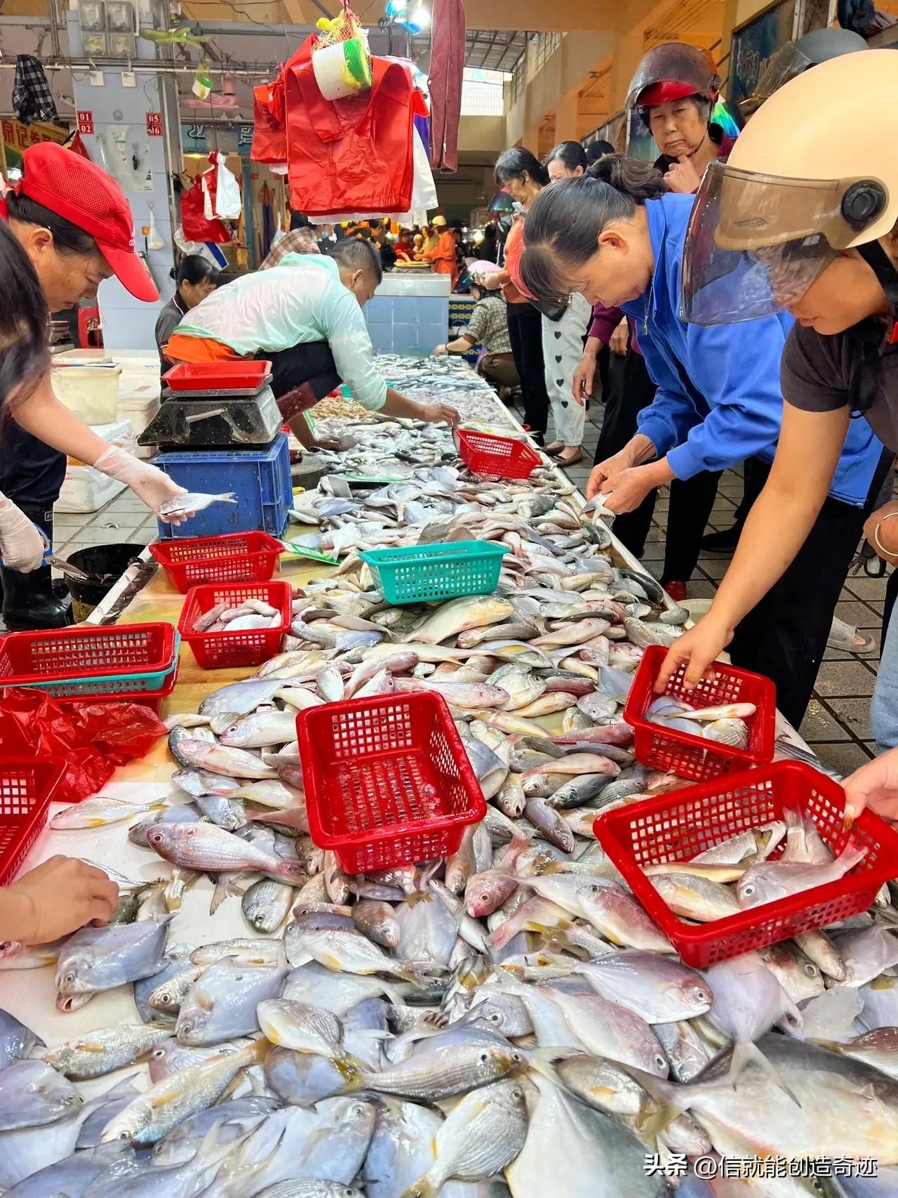 今天我带着孙子来到早市体验生活，抬头望去，人来人往，一整条老街都摆满各种蔬菜和水