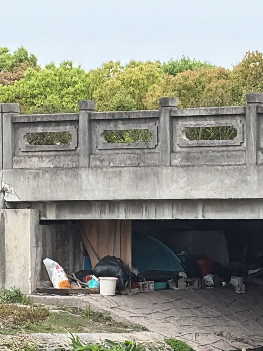 吃饭路上遇到，好心酸啊🍋我的日常plog