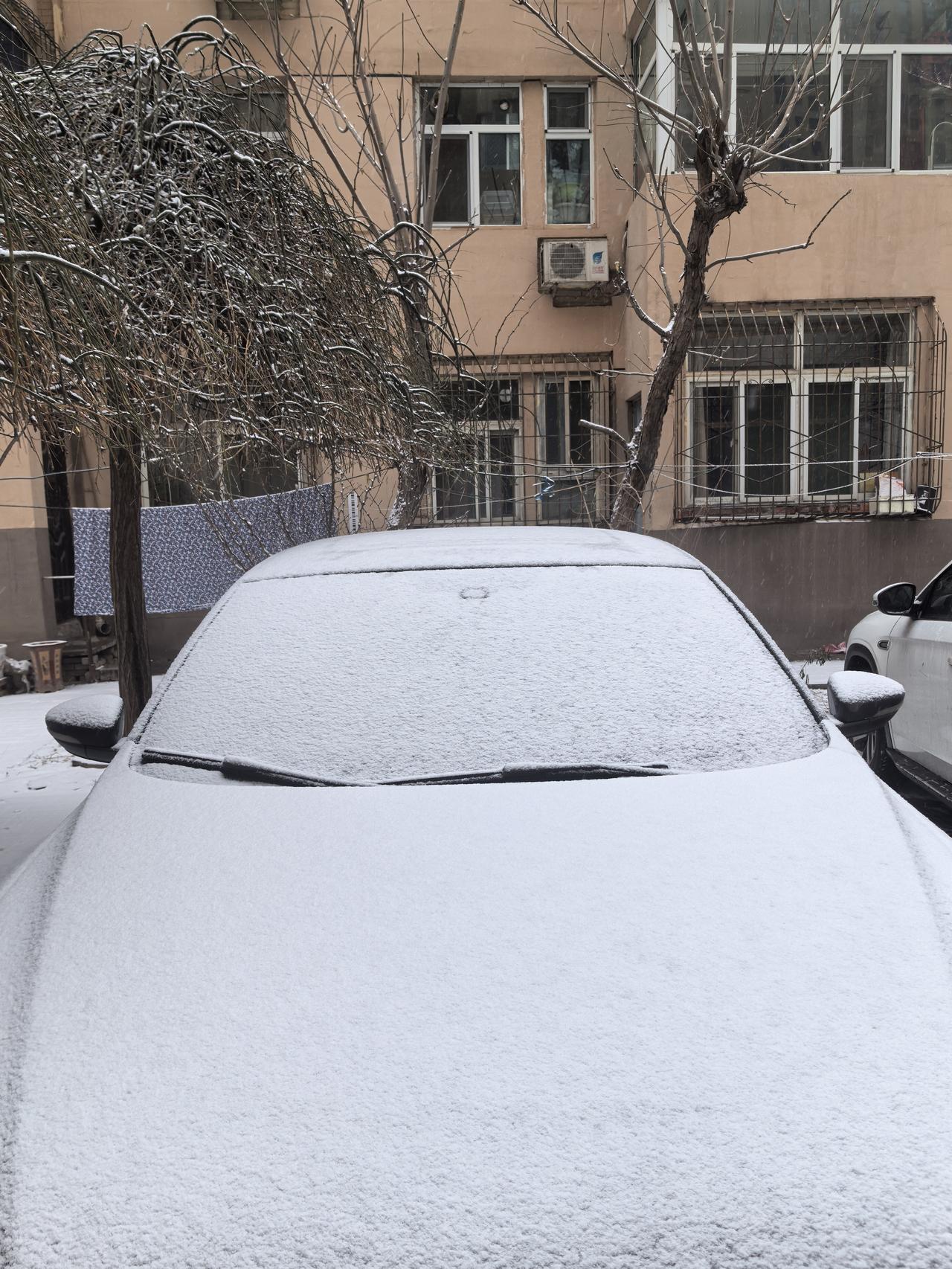 下雪喽，下雪喽！这个冬季晋南的雪频次高、雪量大，超过往年！