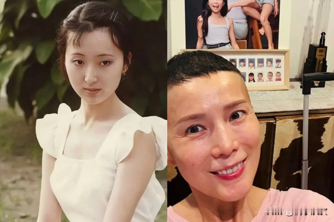 我发现了一个玄学，
像陈晓旭，姚贝娜，吴文忻，温裕红，这些得乳癌的都是大美女，后