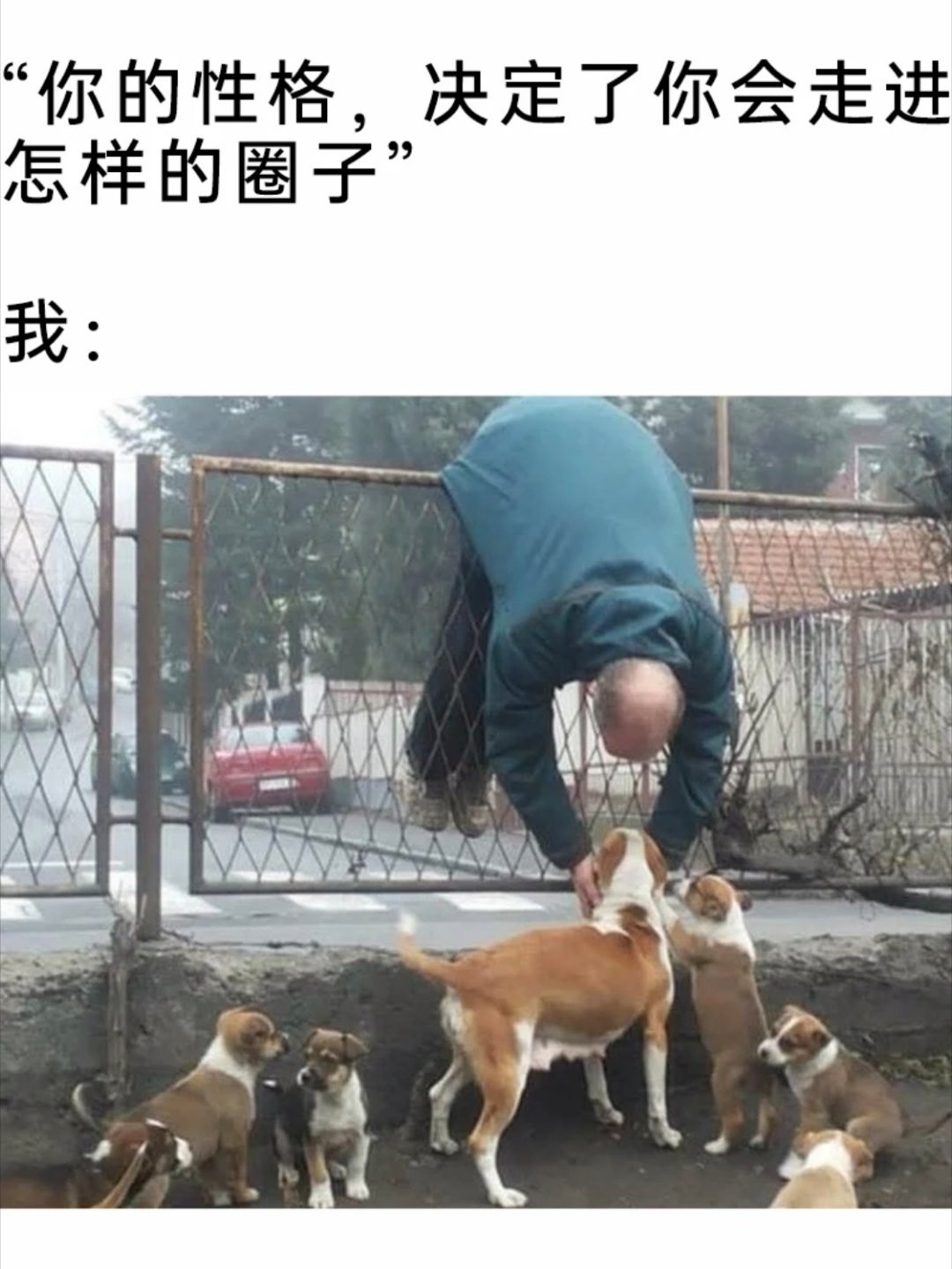 我的社交圈meme
