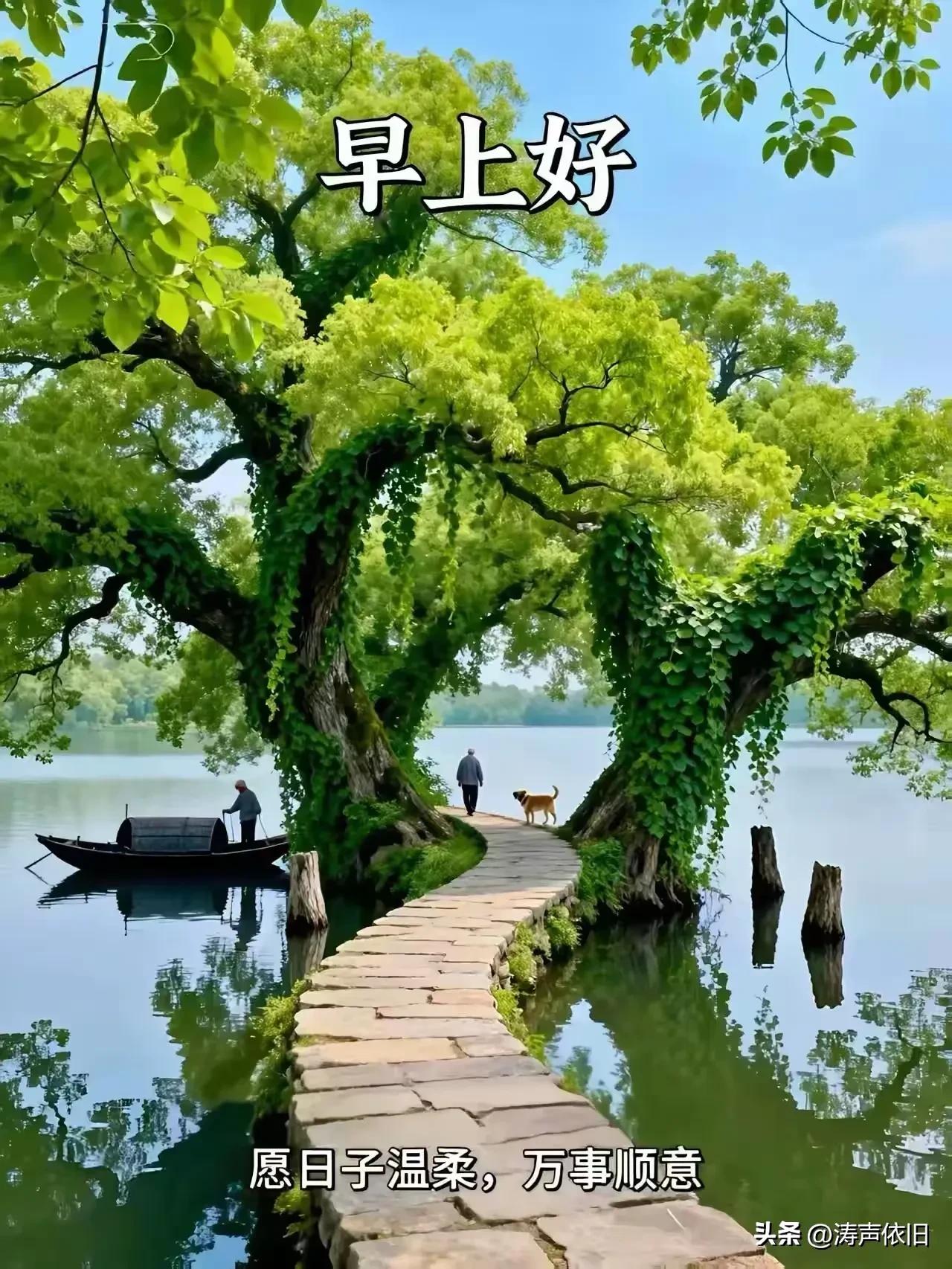 《菩萨蛮·晨安寄愿》

一语平安消倦意，
片言清祝迎朝霁。
乐种自生根，
福芽次